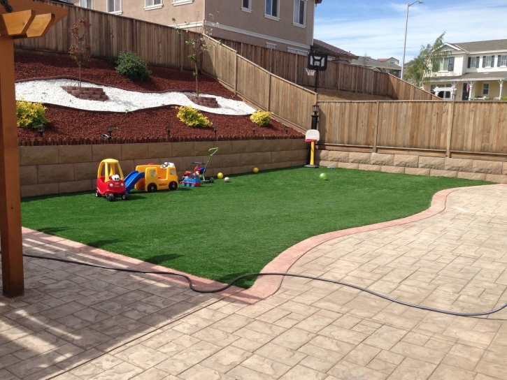 Grass Carpet Rockdale, Illinois Athletic Playground, Backyards