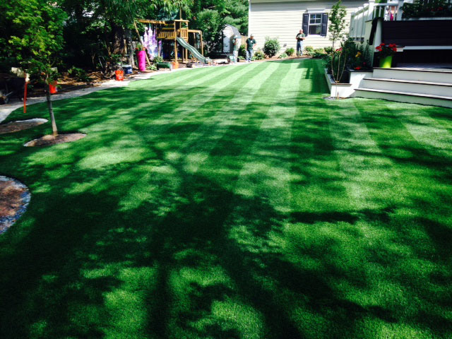 Grass Turf Boulder Hill, Illinois Gardeners, Backyard Makeover