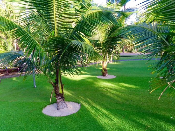 How To Install Artificial Grass Barrington Hills, Illinois Roof Top, Commercial Landscape