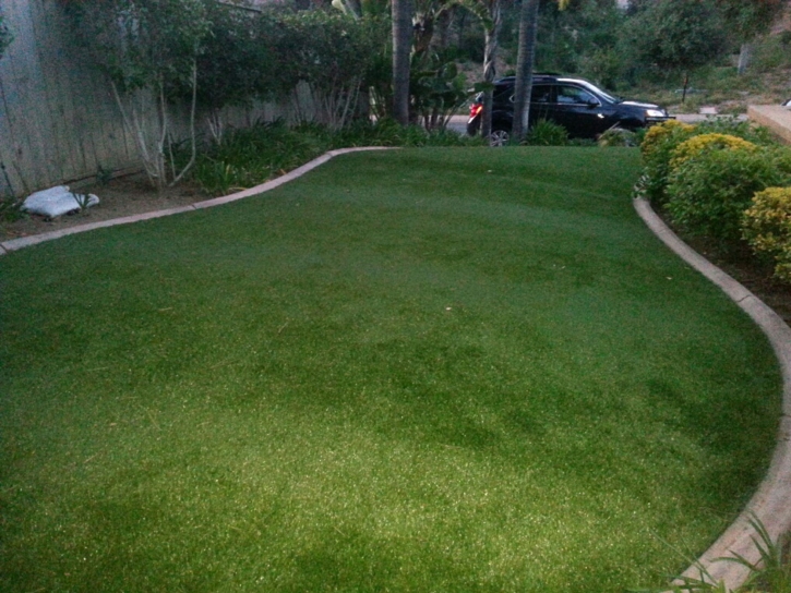 Outdoor Carpet East Dundee, Illinois Lawns, Front Yard Landscaping Ideas