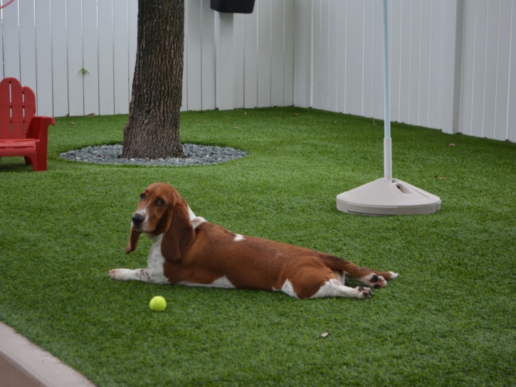 Plastic Grass North Barrington, Illinois Dog Running, Dogs Park