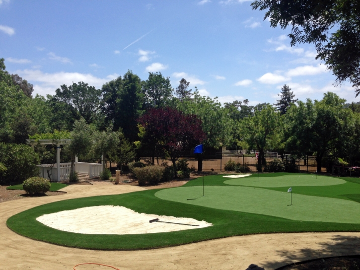 Putting Greens Frankfort Illinois Fake Grass Front Yard