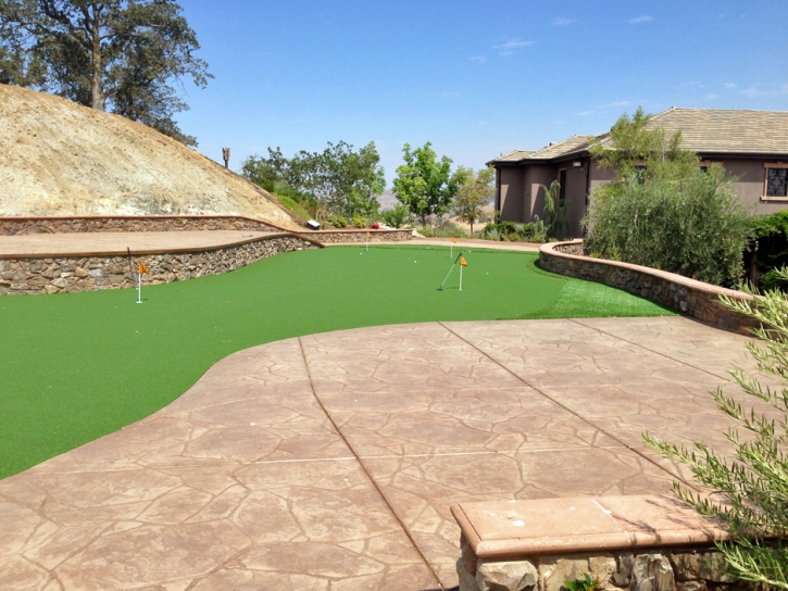 Putting Greens Mount Prospect Illinois Fake Grass Back Yard