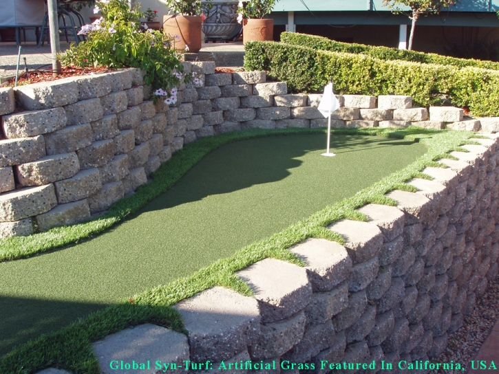 Putting Greens Oak Park Illinois Artificial Grass