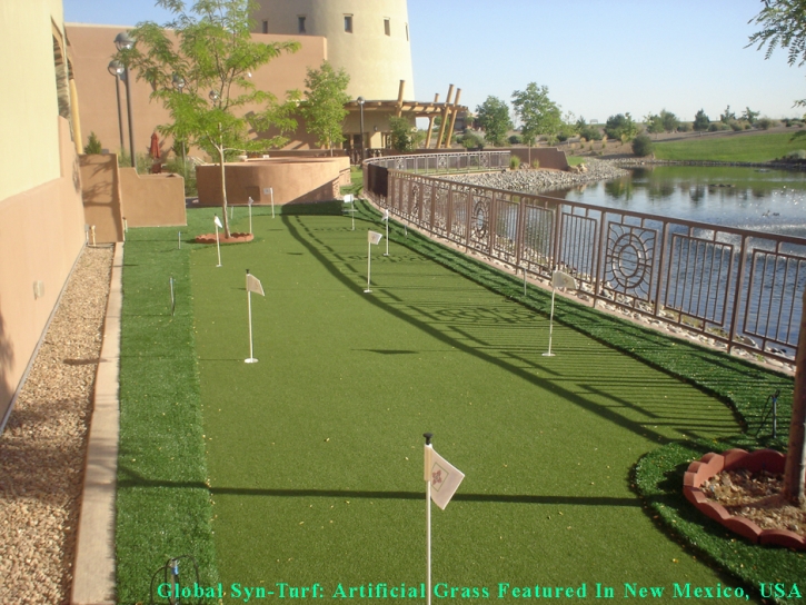 Putting Greens Stickney Illinois Fake Grass