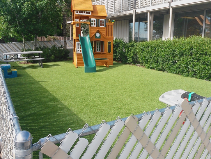 Synthetic Grass Crest Hill Illinois Playgrounds Front Yard