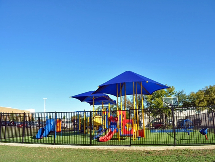 Synthetic Grass Franklin Park Illinois School Front Yard