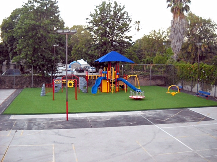 Synthetic Grass Olympia Fields Illinois Kindergarten Pools