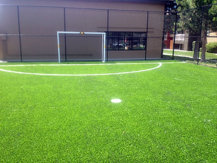 Synthetic Grass Stadium Park Forest Illinois Swimming Pools