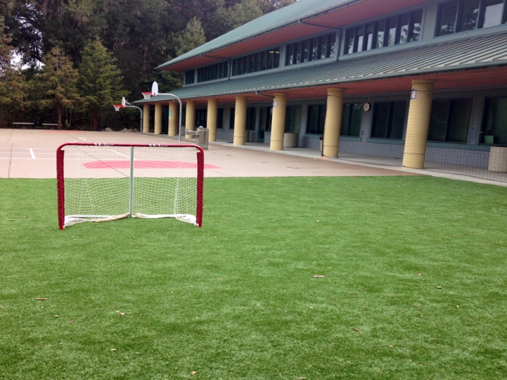 Synthetic Grass Stadium Westmont Illinois Back Yard