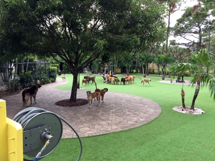 Synthetic Pet Grass Bartlett Illinois Installation