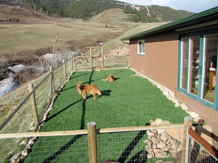 Synthetic Pet Grass Brookfield Illinois Installation Front