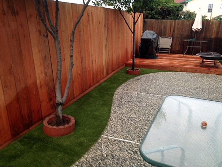 Synthetic Pet Grass Monee Illinois Installation Back Yard