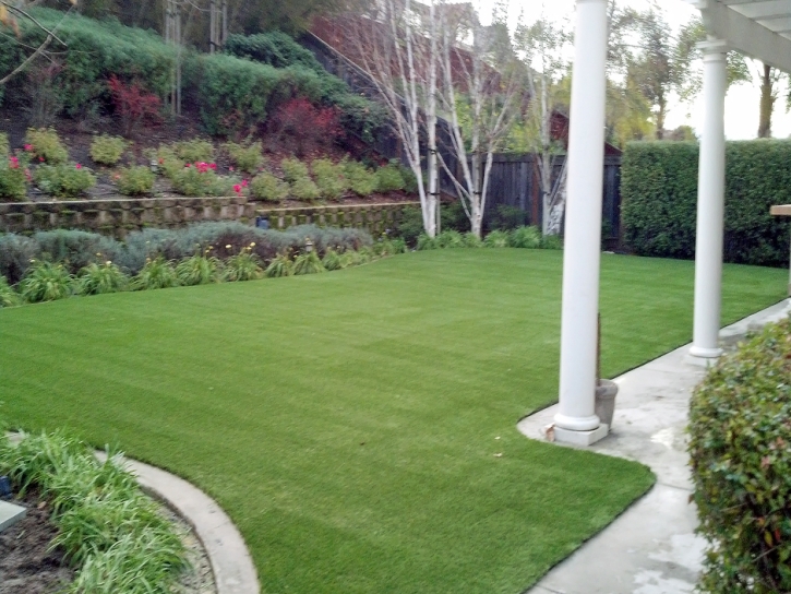 Synthetic Pet Grass Palos Park Illinois Installation Front