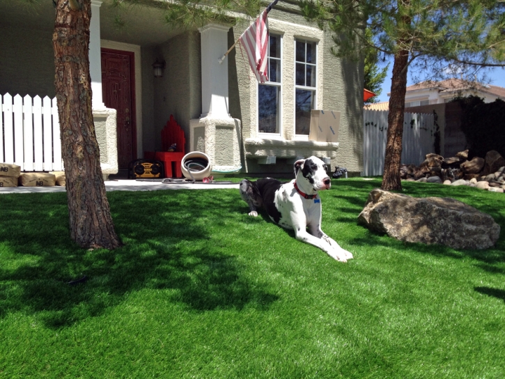 Synthetic Pet Turf Dixmoor Illinois Installation Commercial