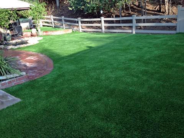 Synthetic Pet Turf Hoffman Estates Illinois for Dogs Back