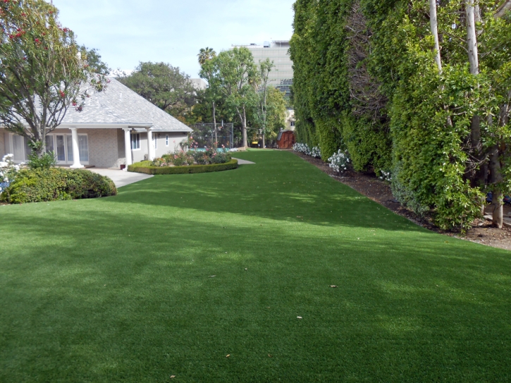 Synthetic Pet Turf Kenilworth Illinois for Dogs Back Yard