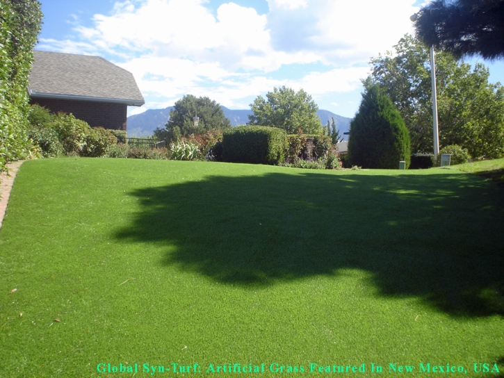 Synthetic Pets Areas Oak Park Illinois Installation