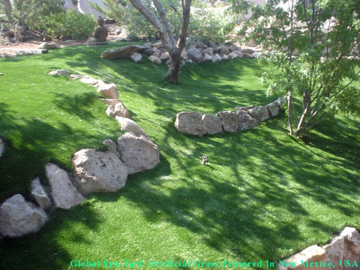 Synthetic Turf Cicero Illinois Lawn