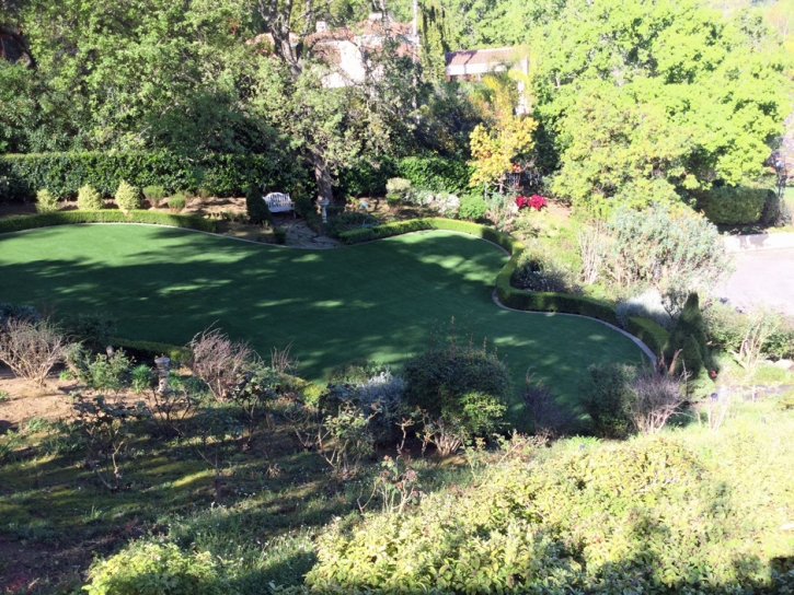 Synthetic Turf Forest Lake Illinois Lawn