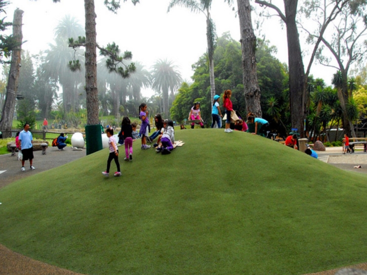 Synthetic Turf Sauk Village Illinois School Front Yard