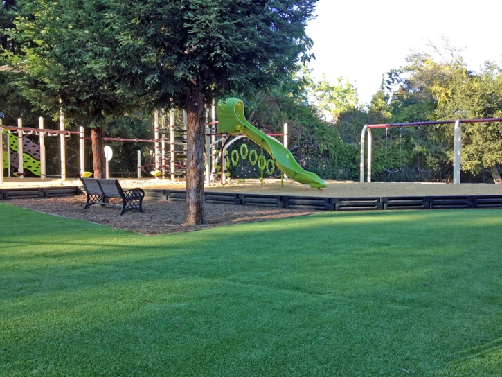 Synthetic Turf Western Springs Illinois Playgrounds Commercial